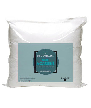 Lot de 2 oreillers Microfibre Anti-Acariens 60x60cm