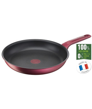 TEFAL G2730202 DAILY CHEF Poele 20cm, Induction, Résistante, Antiadhésive, Facile a nettoyer, Saine, Fabriquée en France