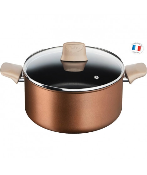 TEFAL G2544602 Faitout 24 cm ECO-RESPECT - antiadhésive - Tous feux dont induction -