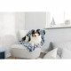 TRIXIE Couverture Tammy 100 × 70 cm - Bleu et beige - Pour chien