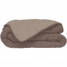 HUDSON Couette légere Microfibre 200g/m² 240x260cm Taupe & Lin