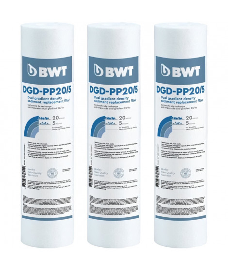 BWT Pack de 3 cartouches de remplacement anti-impuretés DGD