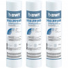 BWT Pack de 3 cartouches de remplacement anti-impuretés DGD