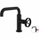 ROUSSEAU MITIGEUR LAVABO INDUSTRIEL BEC MOBILE NOIR