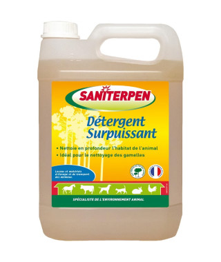 SANITERPEN Détergent Surpuissant - Nettoyant manuel ou haute pression - Pour l'habitat - 5 L