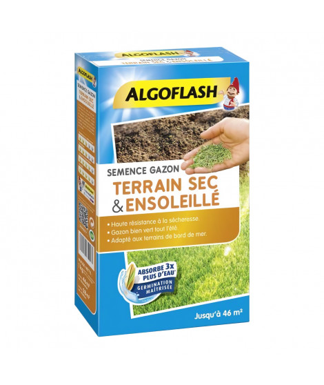 ALGOFLASH Semences gazon terrain sec et ensoleillé - 1 Kg