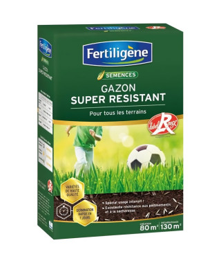 FERTILIGENE Gazon Super Résistant Tous Terrains - 2 kg