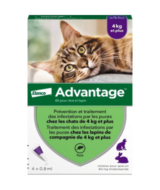 ADVANTAGE 80 - 4 pipettes antiparasitaires - Pour chat et lapin de 4kg et plus