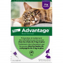 ADVANTAGE 80 - 4 pipettes antiparasitaires - Pour chat et lapin de 4kg et plus