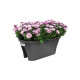 ELHO Bac de balcon Corsica Flower Bridge 60 - Gris anthracite - Extérieur & Balcon - L 29,6 x W 58 x H 24 cm