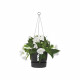 ELHO Pot de fleurs a suspendre Greenville 24 - Extérieur - Ø 23,9 x H 20,3 cm - Vivre noir