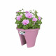 ELHO Bac de balcon Corsica Flower Bridge 30 - Violet vif - Extérieur & Balcon - L 29,6 x W 29,6 x H 24 cm