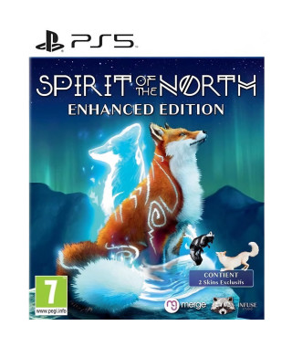 Spirit of the North Jeu PS5