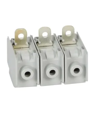 DPX3 160 BORNES (3 PCS)