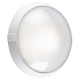 DIFFUSEUR VERRE DE RECHANGE POUR