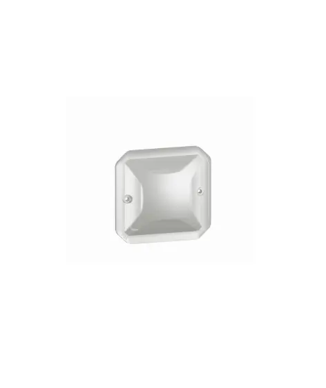 C - DIFFUSEUR POUR VOYANT DE BAL