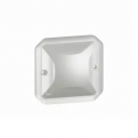 C - DIFFUSEUR POUR VOYANT DE BAL