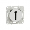 ODACE