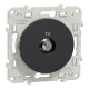 ODACE - PRISE TV SIMPLE ANTHRACI