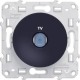 ODACE - PRISE TV SIMPLE ANTHRACI