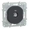 OVALIS - PRISE TV SIMPLE - ANTHR