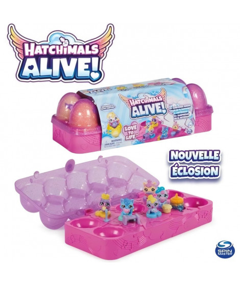 Hatchimals - Boîte 5 oeufs avec 5 Hatchimals + Accessoires