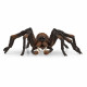 SCHLEICH - Aragog - 13987 - Gamme Harry Potter