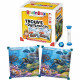 BrainBox Nature - Asmodee