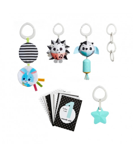 Set cadeau TINY LOVE: Jouet musical, Mobile froissé, un Carillon, une Étoile, 4 clips poussettes et 12 cartes étapes, Black &…