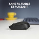 LOGITECH - Souris Sans Fil Ambidextre M171 - Noir