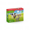 Kit de base Farm World - SCHLEICH - 42385 - Jouet éducatif pour enfant
