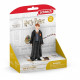 SCHLEICH - Ron et croûtard - 42634 - Gamme Harry Potter