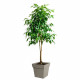 EDA Pot de fleur carré Toscane - 39 x 39 x H 39 cm - 38 L - Taupe
