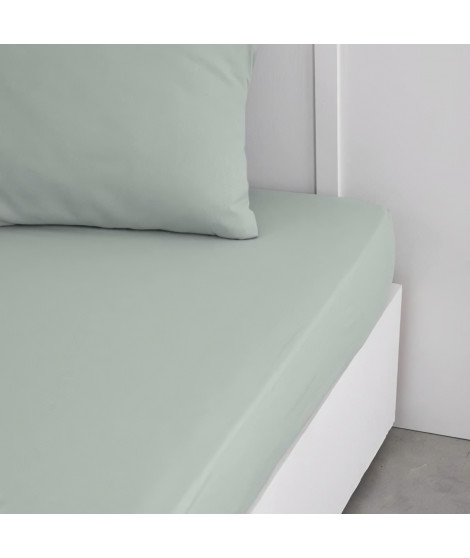 Drap housse TODAY Essential - 160 x 200+23 cm - 2 personnes - 100% Coton uni - Celadon