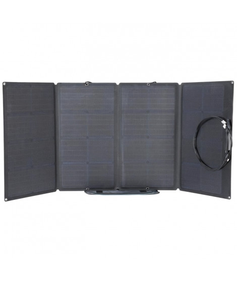 Panneau solaire 160W silicium monocristallin ECOFLOW IP68