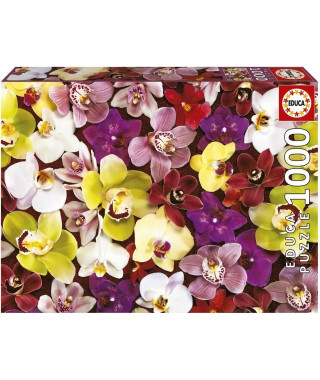 Puzzle 1000 pieces - COLLAGE ORCHIDÉES - EDUCA - Nature morte et objets - Mixte - Espagne