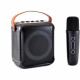 Enceinte Karaoké + micro sans fil - INOVALLEY - KA04BTH-B - Bluetooth - Lumineuse