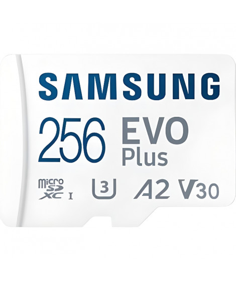 Carte Mémoire SAMSUNG 256Go MicroSD EVO PLUS