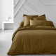 Drap housse TODAY Essential - 140 x 200+30 cm - 2 personnes - 100% Coton uni - Bronze