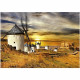 Puzzle MOULINS a VENT, CONSUEGRA - 1500 pieces - Theme Architecture et monument - Marque EDUCA