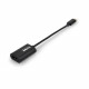 PORTDESIGNS Convertisseur USB Type C vers Display Port - Compatible Windows / Mac OS X / Linux - Câble 15cm