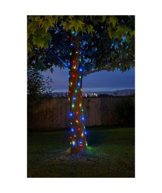 Guirlande d'extérieur Multicolore 100 leds SMART GARDEN