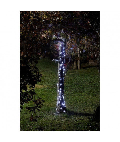 Guirlande d'extérieur LUCIOLE 100 Leds blanc SMART GARDEN