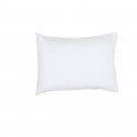 Taie d'oreiller TODAY Essential - 50 x 70+5 cm - 100% Coton uni - Craie