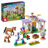 LEGO Friends 41746 Le Dressage Équestre, Jouet de Chevaux et Poney, Cadeau Enfants 4 Ans