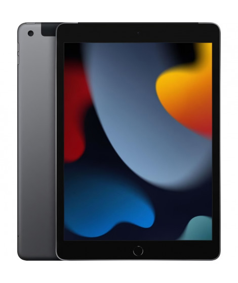 Apple - iPad (2021) - 10,2 WiFi + Cellulaire - 64 Go - Gris Sidéral