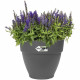 Pot De Fleurs Rond VIBIA - Plastique Réservoir - Ø40 - Anthracite