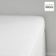 Drap housse TODAY Prestige - 140 x 200+30 cm - 2 personnes - 100% Percale de coton uni - Craie