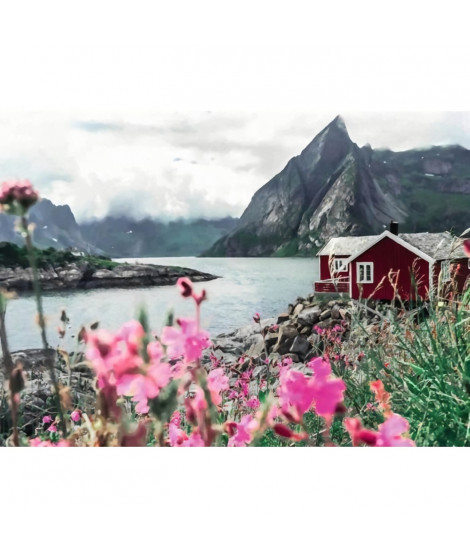 Puzzle 1000 pieces Reine, Lofoten, Norvege - Ravensburger - Puzzle Adulte - Paysage et nature - Multicolore