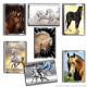 Chevaux 2023  album PANINI